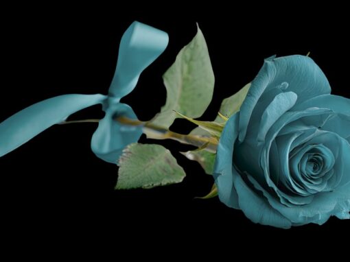 The Suicide Files – Chester Bennington