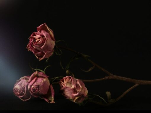 The Suicide Files – Master List