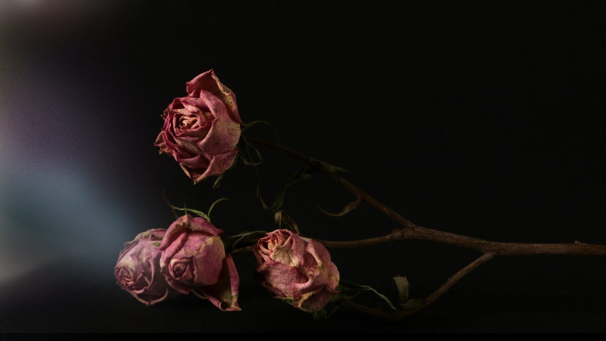 The Suicide Files – Master List