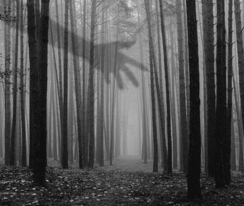 Elegy of Your Comfort